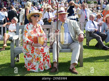 EDITORIALE USE ONLY Racegoers il secondo giorno del Qatar Goodwood Festival 2024 all'ippodromo Goodwood, Chichester. Data foto: Mercoledì 31 luglio 2024. Foto Stock