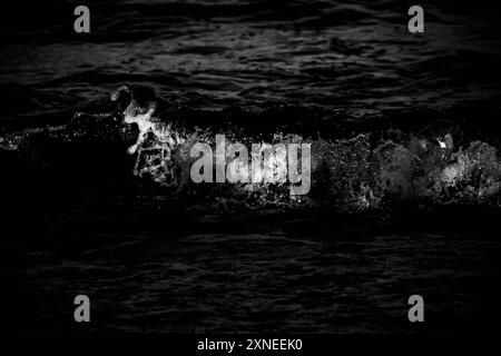 Immagine in bianco e nero di spettacolari onde marine che si infrangono lungo la costa del Mar Nero in Romania. Foto Stock