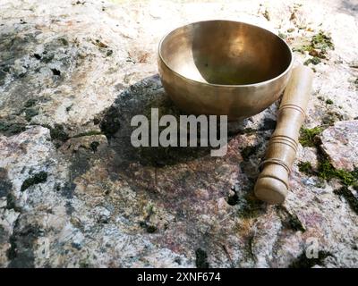 Una fotografia di una ciotola canora adagiata su una roccia Foto Stock