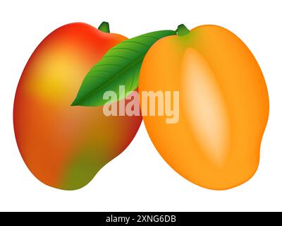 Mango intero maturo e metà con osso isolato su sfondo bianco. Illustrazione Vettoriale