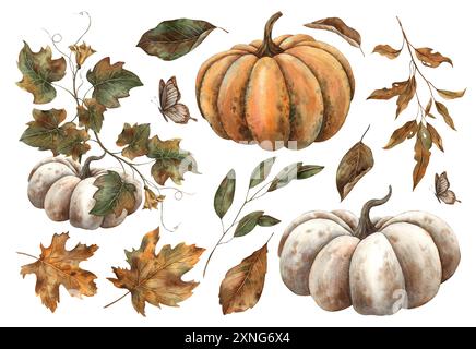 Zucca bianca e arancione con fogliame autunnale. Set botanico di zucche dipinte ad acquerello a mano. Adatto per decorazioni, carte, poster autunnali Foto Stock