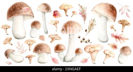 Impostare funghi commestibili forestali, bacche e foglie autunnali illustrazione isolata con acquerello su sfondo bianco. L'illustrazione è disegnata a mano. Adatto per carte, imballaggi, inviti e tessuti Foto Stock