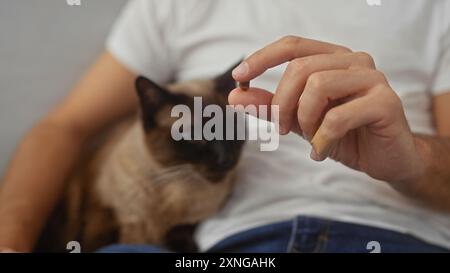 Un uomo offre una sorpresa a un gatto siamese attento seduto casualmente in casa, raffigurando un momento di cura degli animali domestici a casa. Foto Stock