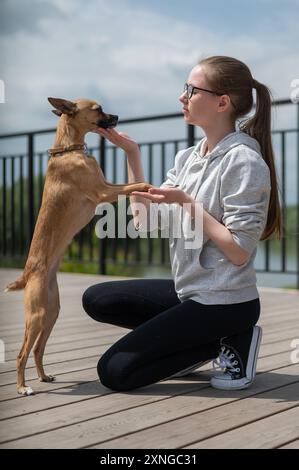Giovane donna caucasica che cammina con il suo cane Toy Terrier russo. Foto verticale. Foto Stock