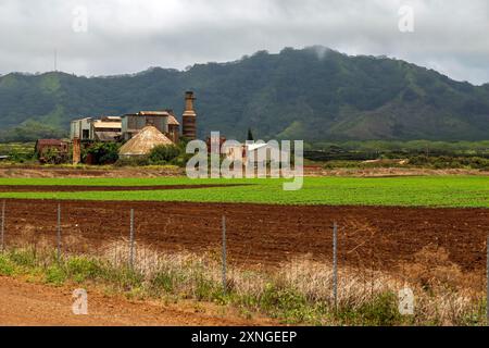 Una fabbrica di canna da zucchero abbandonata sull'isola di Kauai, situata nella città di Koloa. Foto Stock