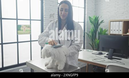 Una giovane donna sorridente in un cappotto bianco spazzola un cane bianco soffice su un tavolo in una brillante clinica veterinaria. Foto Stock