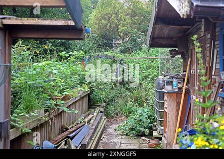 Ehemalige Gärten im Siedlungsraum Ein verfallener und verwilderter Garten wird zu einem Schandfleck. *** Ex giardini in aree residenziali Un giardino fatiscente e ricoperto diventa un dolore oculare Foto Stock