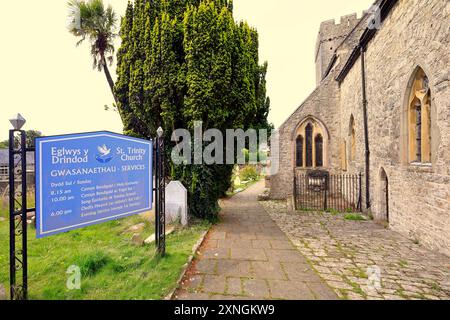 St Illtud's Church / St Trinity Church at Llantwit Major, vale of Glamorgan, Galles del Sud. Data: Luglio 2024. Estate Foto Stock