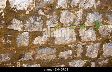 Struttura in pietra di una parete grigia. Antico muro composto da pietre di colore grigio. Sfondo. Modello. Per la progettazione. Orizzontale. Foto Stock