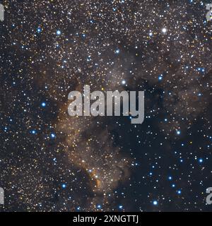 Nordamerikanebel auch NGC 7000 genannt ist die Bezeichnung eines diffusen Gasnebels im Sternbild Schwan am Nordsternhimmel. Seinen Namen erhielt der Nebel aufgrund Seiner Form, Die an eine Landkarte des nordamerikanischen Kontinents erinnert. AM Himmel ist der Nebel mit 120 mal 100 Bogenminuten sehr ausgedehnt der Vollmond Hat einen Durchmesser von ca. 30 . Er ist relativ einfach zu finden, da er sich etwas östlich des hellen Sterns Deneb Î Cygni im Schwan befindet. Der Gasnebel ist zwischen 2,000 und 3,000 Lichtjahre entfernt Seine genaue Entfernung ist nur schwer zu bestimmen und besteht übe Foto Stock