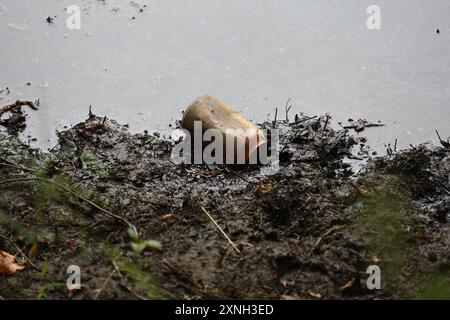 CAN sul lago Shore Foto Stock