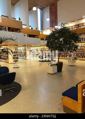 Moderno interno biblioteca con file di scaffali e luce naturale. Ideale per l'istruzione, l'apprendimento e ambienti di lettura tranquilli. Foto Stock