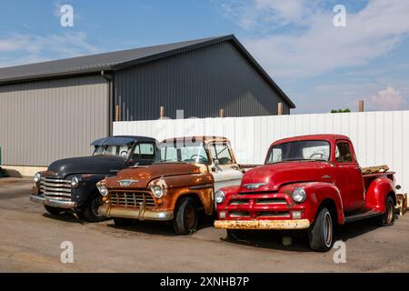 Tre pick-up Chevrolet del 1950, un grigio 1951 o 52, un bianco (e ruggine) 1955 e un rosso 1954, che si deteriorano fianco a fianco a Huntington, Indiana, USA. Foto Stock