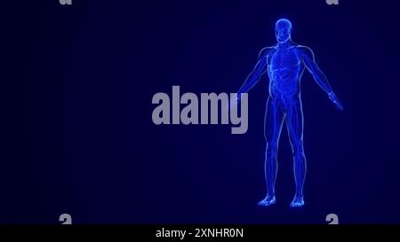 Anatomia del corpo umano con sistema di organi Foto Stock