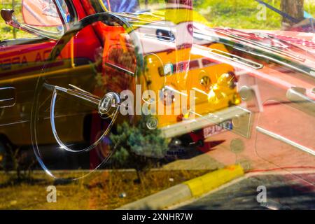 28 luglio 2024 Bursa Turchia. . Campo di Harmancik Beetle a Bursa, Turchia Foto Stock