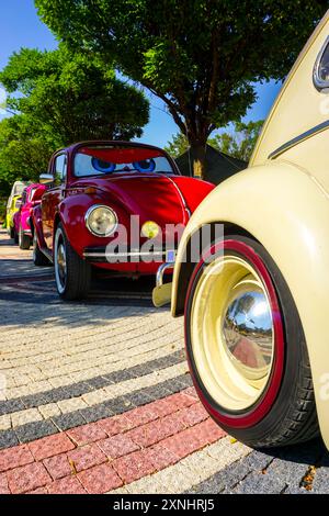 28 luglio 2024 Bursa Turchia. . Campo di Harmancik Beetle a Bursa, Turchia Foto Stock