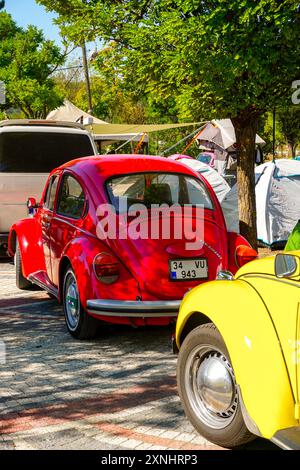 28 luglio 2024 Bursa Turchia. . Campo di Harmancik Beetle a Bursa, Turchia Foto Stock