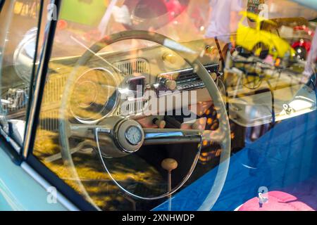 28 luglio 2024 Bursa Turchia. . Campo di Harmancik Beetle a Bursa, Turchia Foto Stock