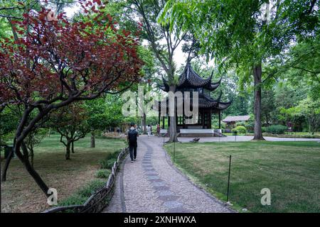 Suzhou, Cina - 11 giugno 2024: Un sentiero in pietra si snoda attraverso un lussureggiante giardino, che conduce ad un gazebo tradizionale cinese. Foto Stock