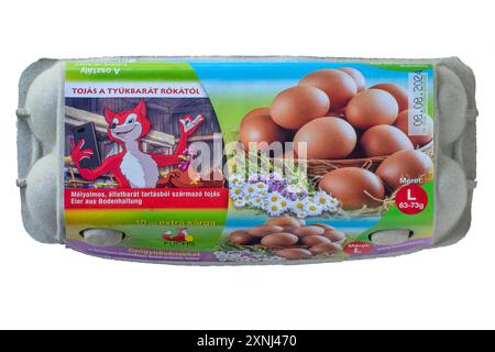 scatola ungherese chiusa di dieci grandi uova tagliate su sfondo bianco Foto Stock
