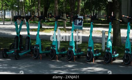 Una fila di scooter verdi è parcheggiata accanto a un cartello che dice P. gli scooter sono allineati di fila, alcuni dei quali sono parcheggiati sull'erba Foto Stock