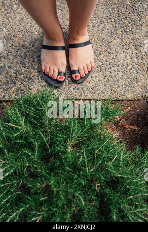 Piedi da donna in sandali a punta aperta davanti a un lussureggiante cespuglio di rosmarino Foto Stock