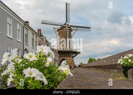 Storico mulino a vento olandese a Wijk bij Duurstede, l'unico mulino a vento in auto al mondo Foto Stock