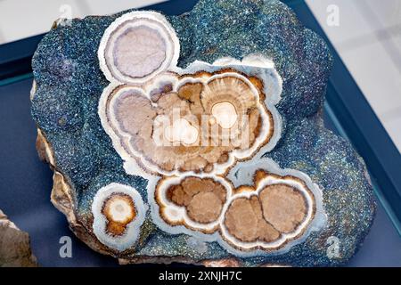 Campione minerale di barite e marcasite, Museo di Geologia, Varsavia, Polonia Foto Stock