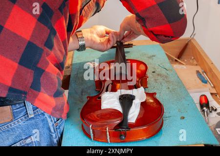 Liutaio che ripara e aggiorna violino a buon mercato Foto Stock