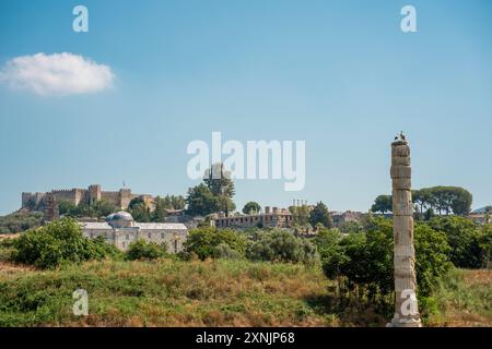 Le rovine del Tempio di Artemide, situato nel quartiere Selcu di Smirne, si trovano sullo sfondo della Moschea İsa Bey, il Castello Ayasuluk A. Foto Stock