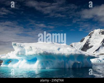 Piccolo iceberg, Pleneau Bay Antartide Foto Stock