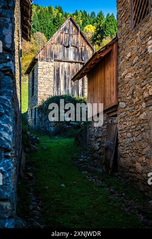 Val Pesarina immersa in atmosfere autunnali. Tra boschi e le antiche stalle di Orias. Foto Stock