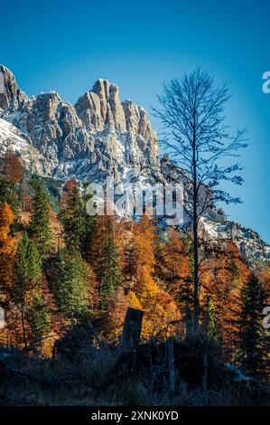 Val Pesarina immersa in atmosfere autunnali. Tra boschi e le antiche stalle di Orias. Foto Stock