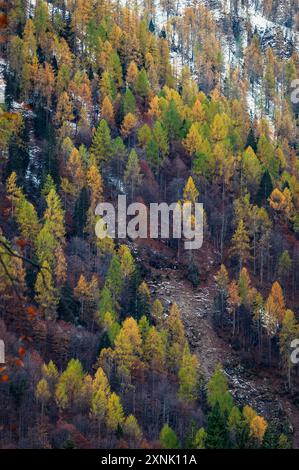 Val Pesarina immersa in atmosfere autunnali. Tra boschi e le antiche stalle di Orias. Foto Stock