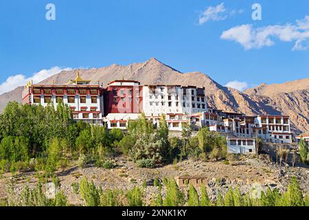 Vista sul retro del monastero di Phyang, fondato dal re Tashi Namgyal nel XVI secolo, Phyang, Leh, Ladakh, India. Foto Stock