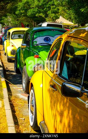 28 luglio 2024 Bursa Turchia. . Campo di Harmancik Beetle a Bursa, Turchia Foto Stock