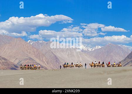 Persone che si divertono a fare un giro in cammello sulle dune di sabbia di Hunder, Hunder, Nubra Valley, Leh, Ladakh, India. Foto Stock