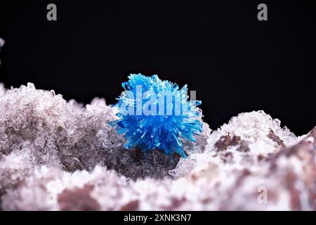 Cavansite blu mescolato con alcuni cristalli pentagoniti su Stilbite-CA bianco. Esemplare proveniente dalla cava di Wagholi, Pune, Maharashtra, India. fotografia nera b Foto Stock