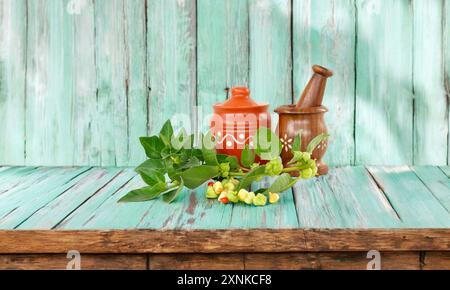 Ashwagandha o Ginseng indiano è una medicina ayurvedica, foglie fresche e frutti verdi rossi. Isolato su fondo di legno. messa a fuoco selettiva Foto Stock