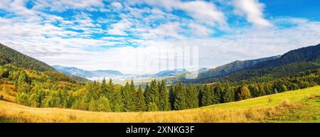 panorama della splendida campagna ucraina. mattina di sole. meraviglioso paesaggio autunnale in montagna. foresta di conifere e colline ondulate. scena rurale Foto Stock