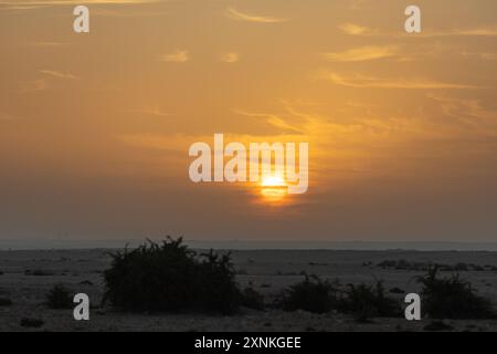 Alba nel deserto del Qatar. Vista panoramica del deserto mattutino. Foto Stock