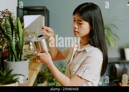 Primo piano medio di una giovane donna asiatica che innaffia piante da casa sugli scaffali in un moderno ufficio ecologico Foto Stock