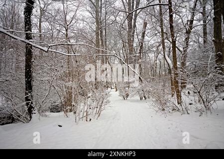 ARLINGTON, Virginia, Stati Uniti - Una scena invernale innevata nel Rock Spring Park cattura la serena bellezza di Arlington, Virginia. Il parco, coperto di neve, mette in mostra il tranquillo e pittoresco paesaggio invernale, invitando i visitatori a praticare attività all'aperto e la bellezza naturale della stagione. Foto Stock