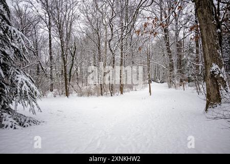 ARLINGTON, Virginia, Stati Uniti - Una scena invernale innevata nel Rock Spring Park cattura la serena bellezza di Arlington, Virginia. Il parco, coperto di neve, mette in mostra il tranquillo e pittoresco paesaggio invernale, invitando i visitatori a praticare attività all'aperto e la bellezza naturale della stagione. Foto Stock