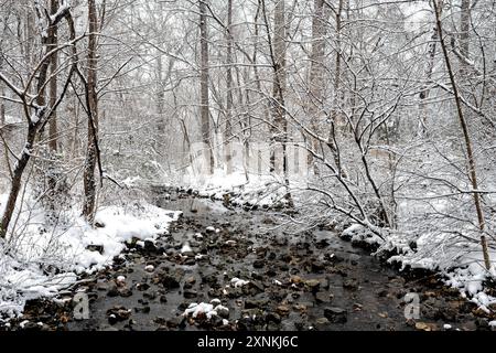 ARLINGTON, Virginia, Stati Uniti - Una scena invernale innevata nel Rock Spring Park cattura la serena bellezza di Arlington, Virginia. Il parco, coperto di neve, mette in mostra il tranquillo e pittoresco paesaggio invernale, invitando i visitatori a praticare attività all'aperto e la bellezza naturale della stagione. Foto Stock