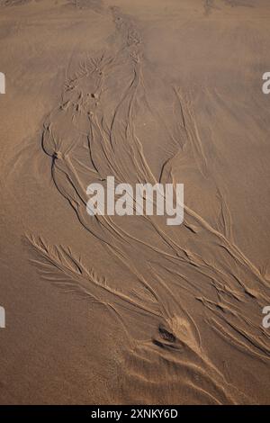 Crea motivi di sabbia sulla spiaggia dopo che la marea è uscita sulla spiaggia di Freshwater West Pembrokeshire, Galles, Regno Unito Foto Stock