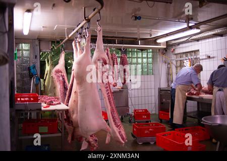 Tre macellai lavorano diligentemente, trasformando carni biologiche in un macello professionale. Le carcasse appese e la carne cruda fresca sono considerate parte di un processo di macellazione igienico e organizzato. Foto Stock