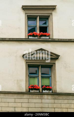 Bella finestra con fiori e piante in vaso. Preso a Sciaffusa in Svizzera Foto Stock
