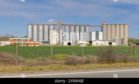 Sabac, Serbia - 4 aprile 2024: Grandi magazzini di siluro di grano agricolo magazzino mulino edifici industriali DPS Klas Group MSC Company Debrc. Foto Stock