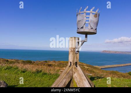 Old Cannon domina il porto Fishguard, Pembrokeshire, galles, Regno Unito Foto Stock